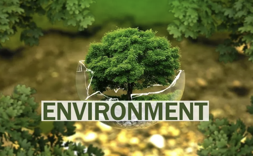 Environmental Policy